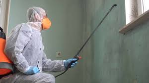 Trusted Tomahawk, WI Mold Removal Services Experts